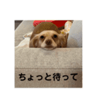 ゆっけ特集（個別スタンプ：8）
