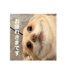 ゆっけ特集（個別スタンプ：13）