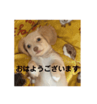 ゆっけ特集（個別スタンプ：15）
