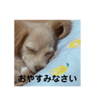 ゆっけ特集（個別スタンプ：16）