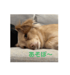 ゆっけ特集（個別スタンプ：17）