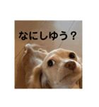 ゆっけ特集（個別スタンプ：18）