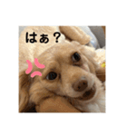 ゆっけ特集（個別スタンプ：22）