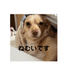 ゆっけ特集（個別スタンプ：23）