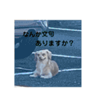 ゆっけ特集（個別スタンプ：25）