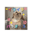 ゆっけ特集（個別スタンプ：26）