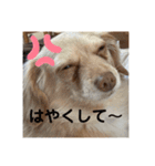 ゆっけ特集（個別スタンプ：28）