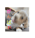 ゆっけ特集（個別スタンプ：29）
