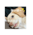 ゆっけ特集（個別スタンプ：31）