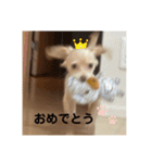 ゆっけ特集（個別スタンプ：32）