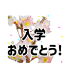 *花*春のお祝い 合格 卒業 入学 就職（個別スタンプ：3）