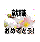 *花*春のお祝い 合格 卒業 入学 就職（個別スタンプ：4）