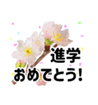 *花*春のお祝い 合格 卒業 入学 就職（個別スタンプ：5）