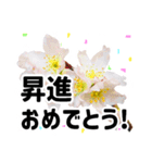 *花*春のお祝い 合格 卒業 入学 就職（個別スタンプ：6）