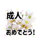 *花*春のお祝い 合格 卒業 入学 就職（個別スタンプ：7）