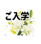 *花*春のお祝い 合格 卒業 入学 就職（個別スタンプ：9）