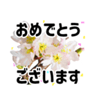 *花*春のお祝い 合格 卒業 入学 就職（個別スタンプ：14）