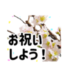*花*春のお祝い 合格 卒業 入学 就職（個別スタンプ：15）