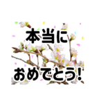 *花*春のお祝い 合格 卒業 入学 就職（個別スタンプ：16）