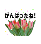 *花*春のお祝い 合格 卒業 入学 就職（個別スタンプ：17）