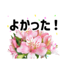 *花*春のお祝い 合格 卒業 入学 就職（個別スタンプ：18）