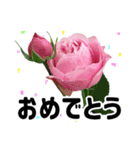 *花*春のお祝い 合格 卒業 入学 就職（個別スタンプ：22）