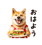 柴犬ママ【家族連絡】（個別スタンプ：2）