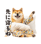 柴犬ママ【家族連絡】（個別スタンプ：4）