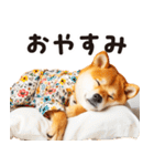 柴犬ママ【家族連絡】（個別スタンプ：5）