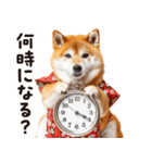 柴犬ママ【家族連絡】（個別スタンプ：6）