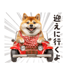 柴犬ママ【家族連絡】（個別スタンプ：9）