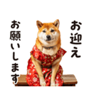 柴犬ママ【家族連絡】（個別スタンプ：10）