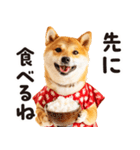柴犬ママ【家族連絡】（個別スタンプ：13）