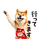 柴犬ママ【家族連絡】（個別スタンプ：18）
