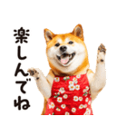 柴犬ママ【家族連絡】（個別スタンプ：20）