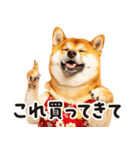 柴犬ママ【家族連絡】（個別スタンプ：21）