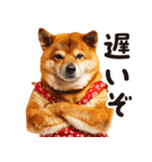 柴犬ママ【家族連絡】（個別スタンプ：33）