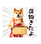 柴犬ママ【家族連絡】（個別スタンプ：34）