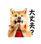 柴犬ママ【家族連絡】（個別スタンプ：36）