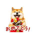 柴犬ママ【家族連絡】（個別スタンプ：38）