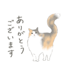 陽キャノルウェージャン めい様（個別スタンプ：1）