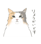 陽キャノルウェージャン めい様（個別スタンプ：5）