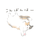 陽キャノルウェージャン めい様（個別スタンプ：11）