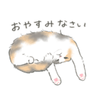 陽キャノルウェージャン めい様（個別スタンプ：12）