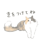 陽キャノルウェージャン めい様（個別スタンプ：18）