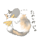 陽キャノルウェージャン めい様（個別スタンプ：20）
