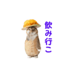 踊る！食べ物ネコ（個別スタンプ：9）