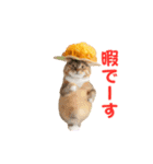 踊る！食べ物ネコ（個別スタンプ：21）