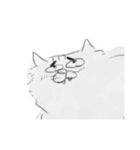 民間人のような猫（個別スタンプ：17）