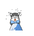 シベリアンハスキーの夏雪遊び（個別スタンプ：9）